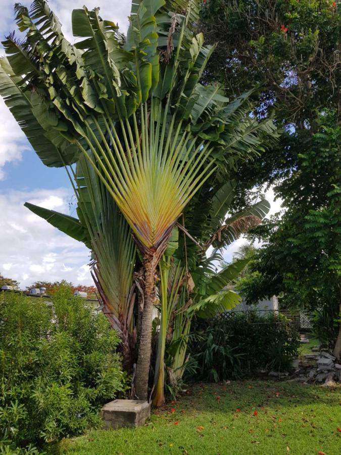 West Coast 1 Bedroom Apartment 66 - Close To Beach Saint James Exterior foto