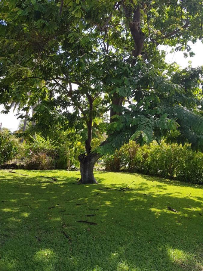 West Coast 1 Bedroom Apartment 66 - Close To Beach Saint James Exterior foto